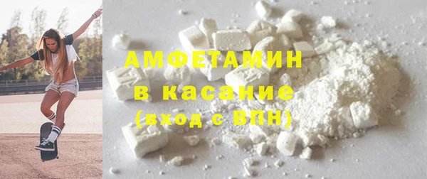 гидра Алексин