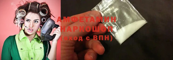 шишки Магас