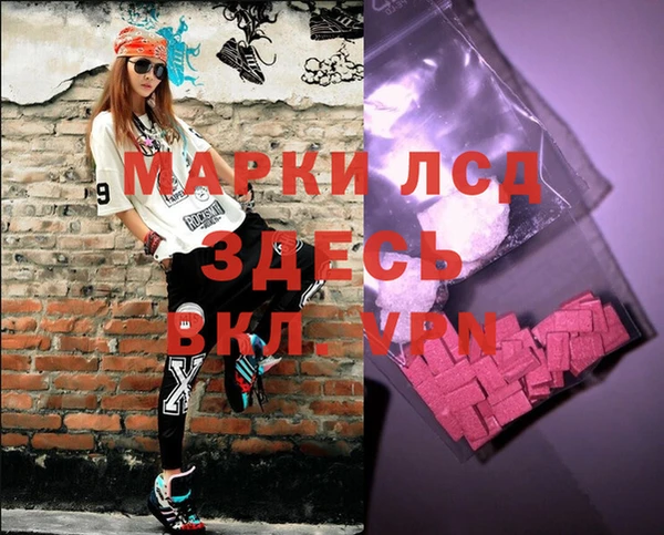 spice Алзамай