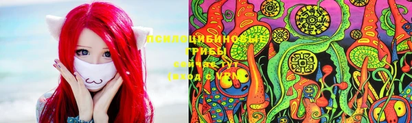 spice Алзамай
