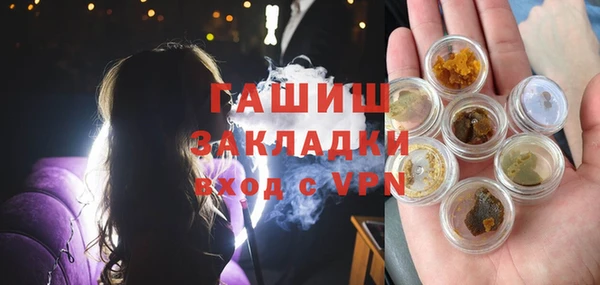 гидра Алексин